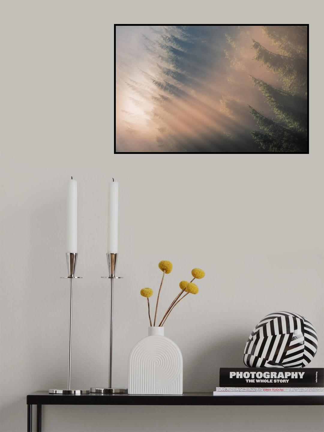 Signs of Autumn Poster och Canvastavla