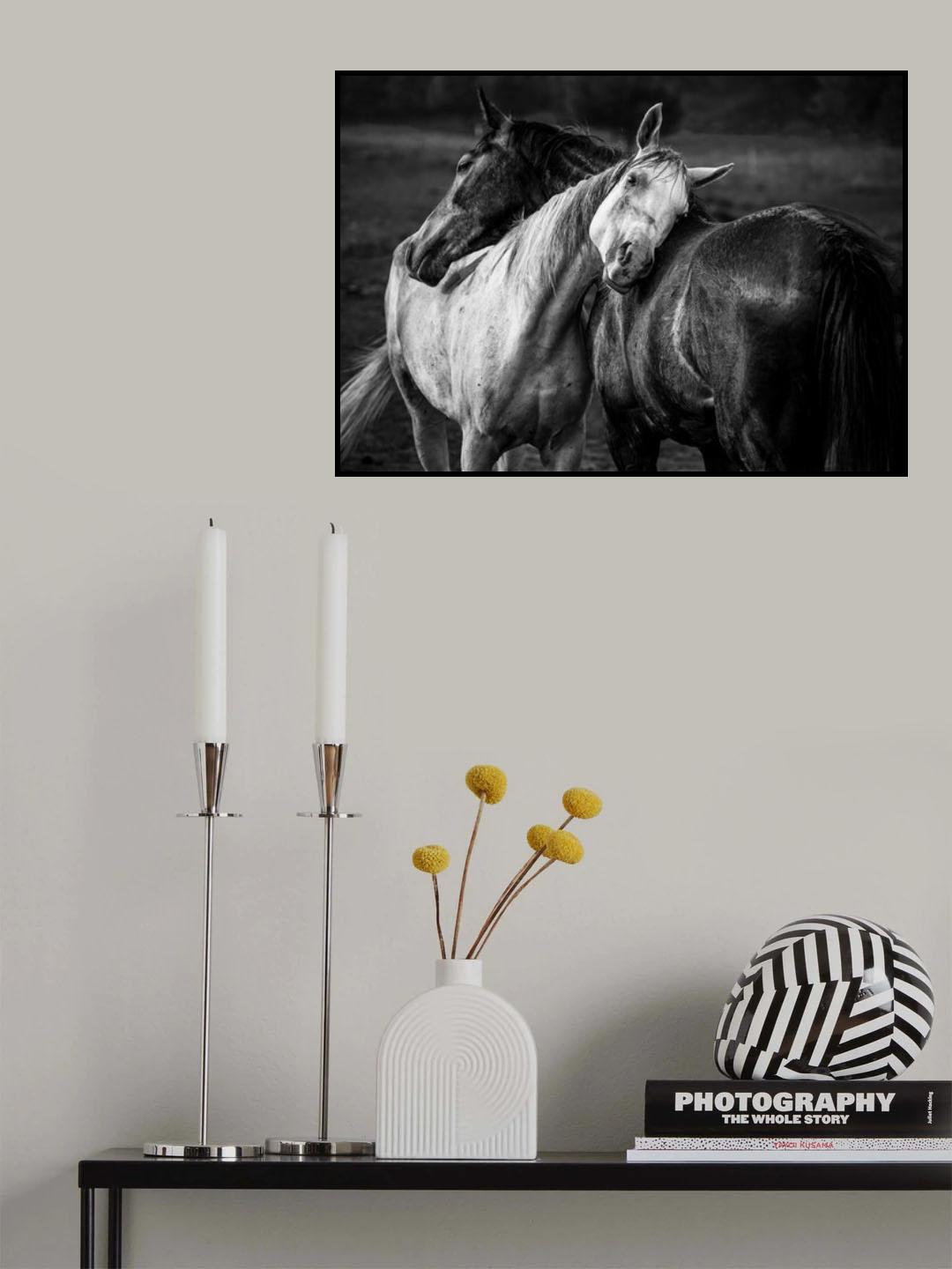 Warm rain Poster och Canvastavla