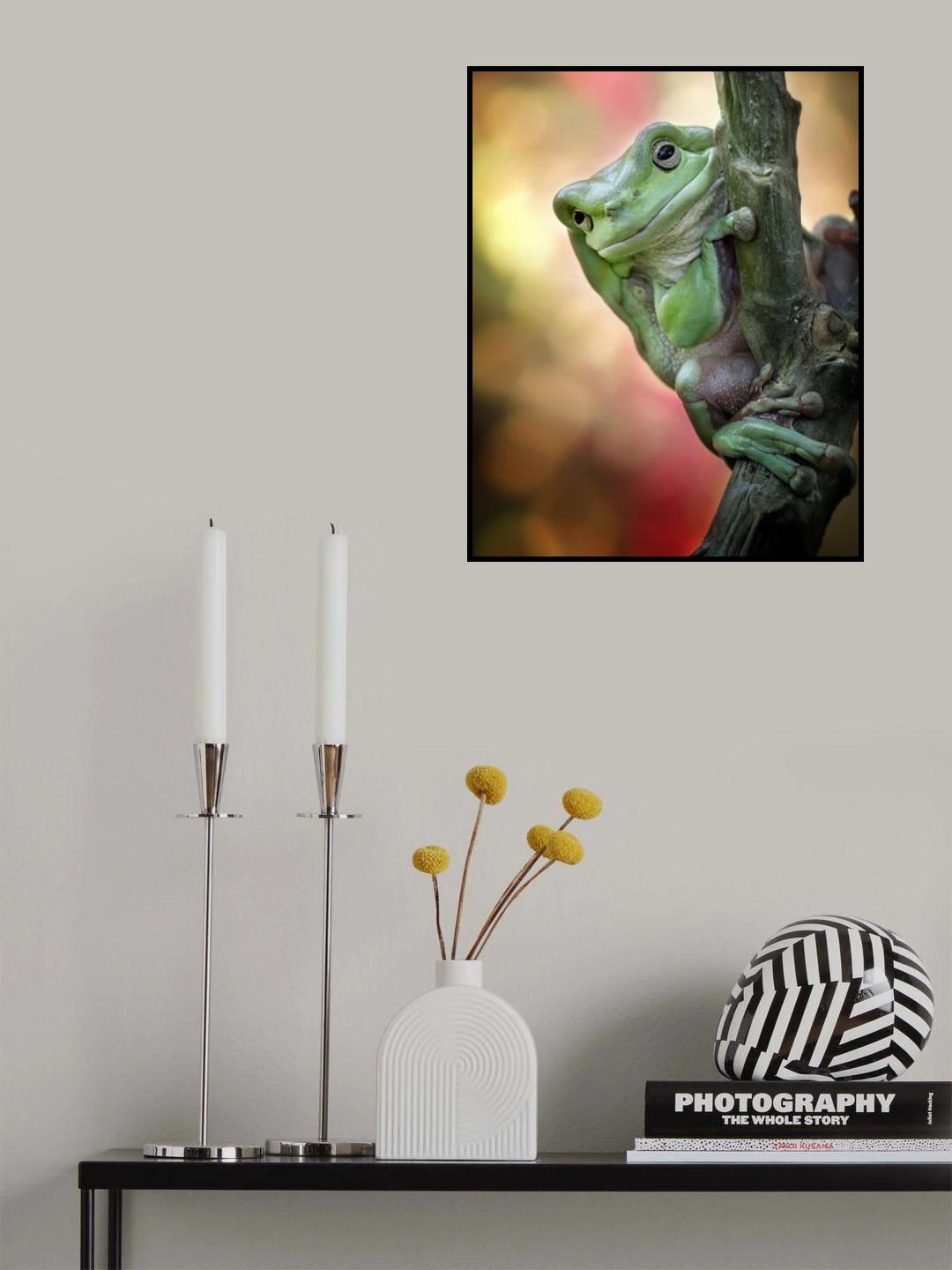 Big Fat Cute Tree Frog Poster och Canvastavla