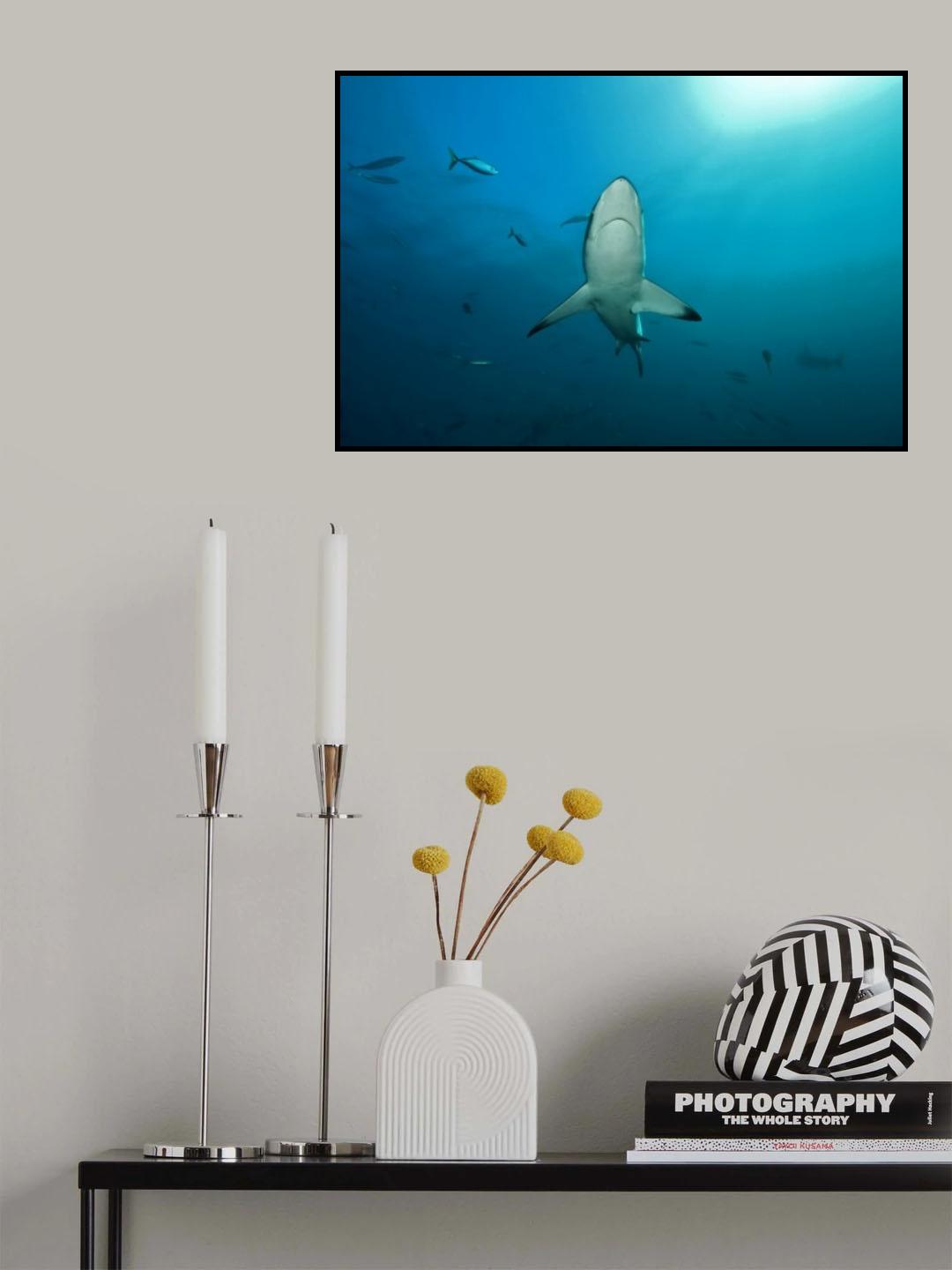 Peaceful Poster och Canvastavla