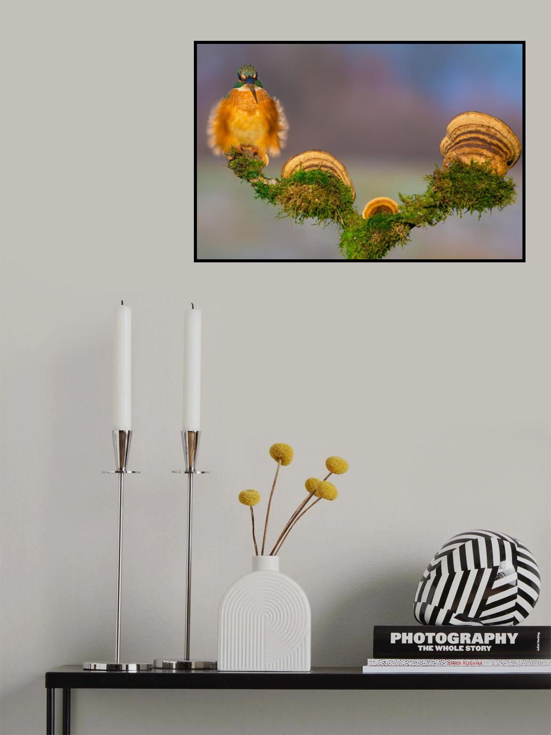 Buhtlin Poster och Canvastavla
