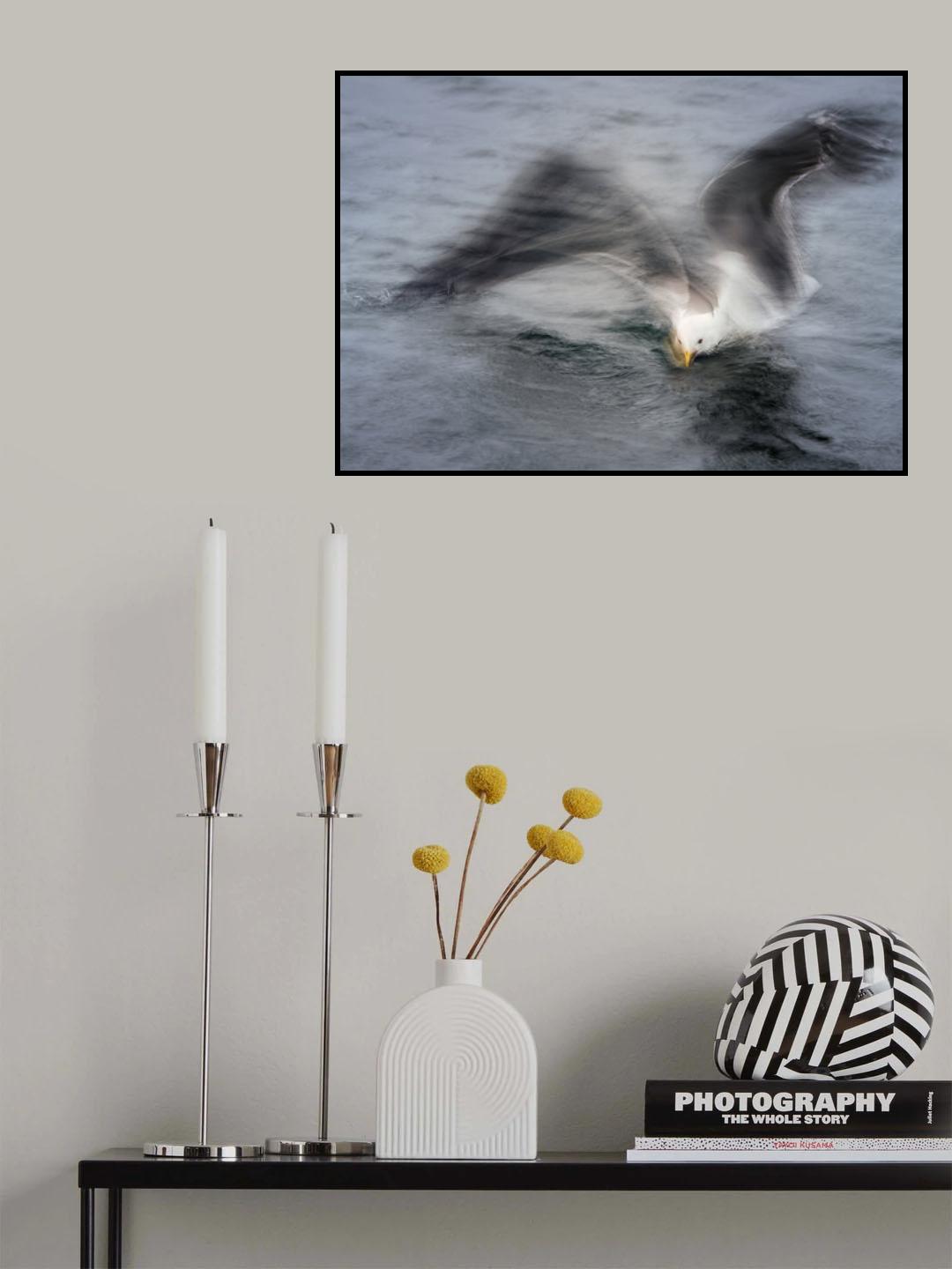 Gull Poster och Canvastavla