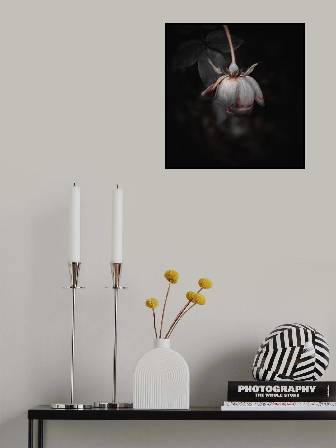 Zombie flower Poster och Canvastavla