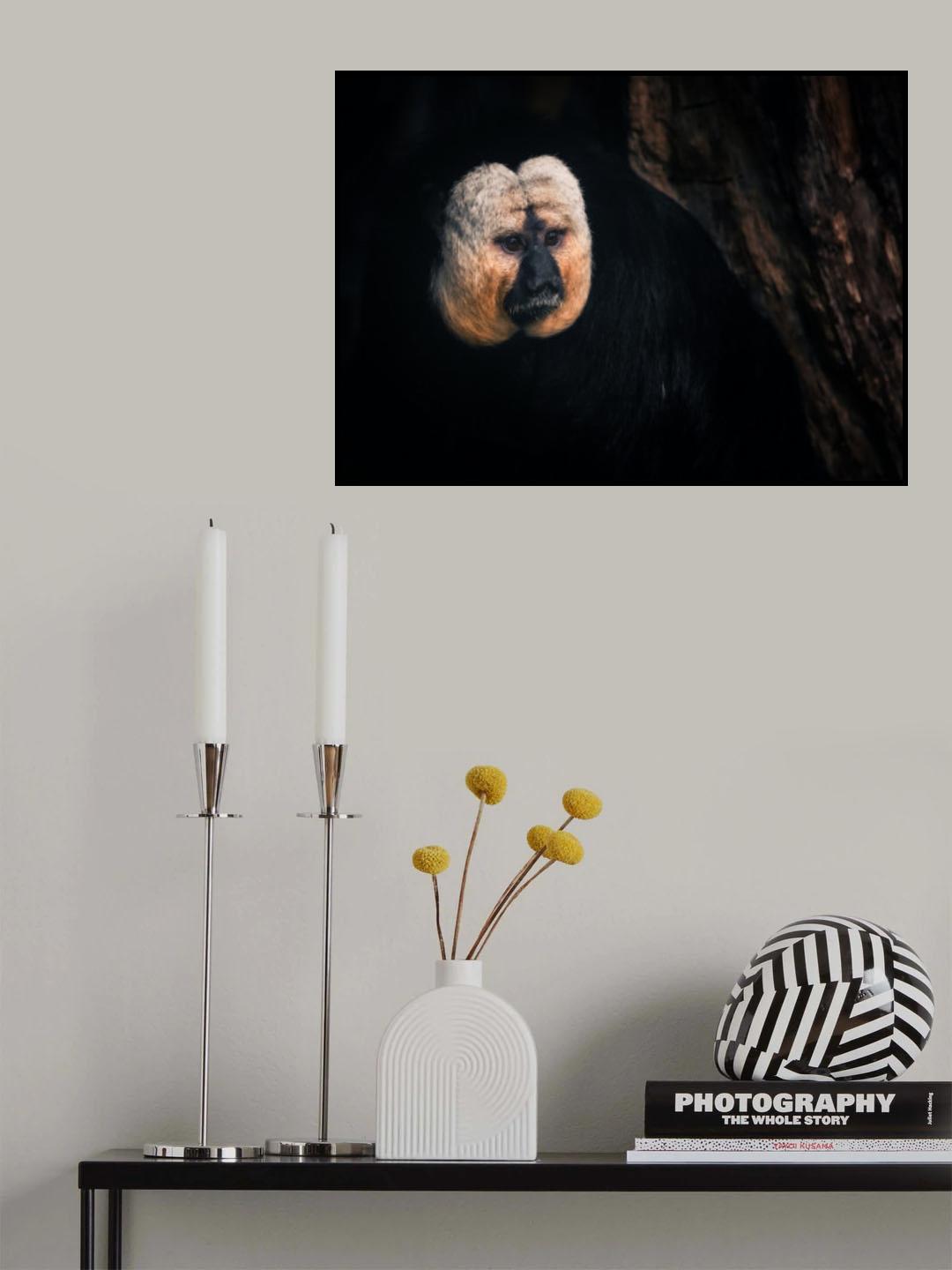 White-faced saki Poster och Canvastavla
