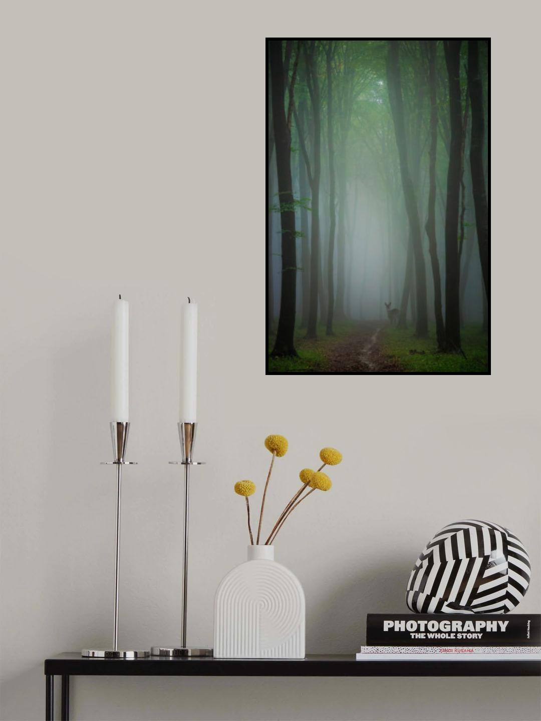 Lost in the forest Poster och Canvastavla