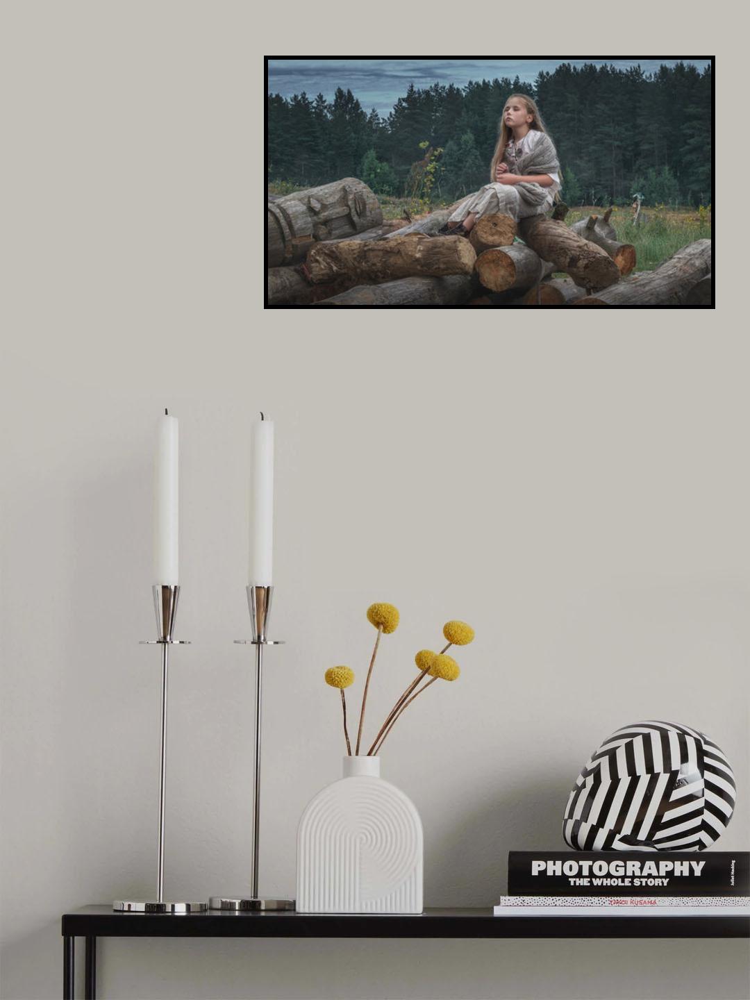 *** Poster och Canvastavla