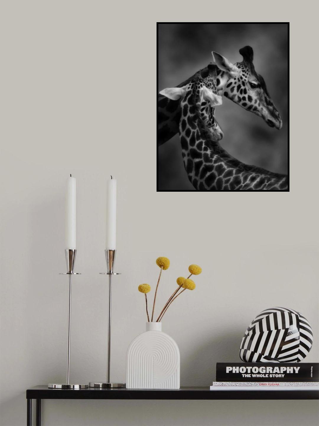 The Gentle Giant Poster och Canvastavla