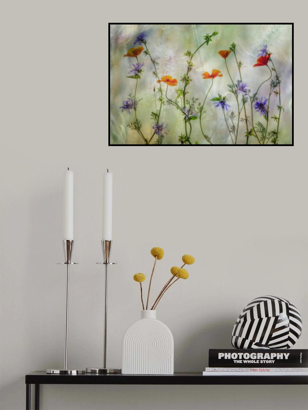Blue & orange Poster och Canvastavla