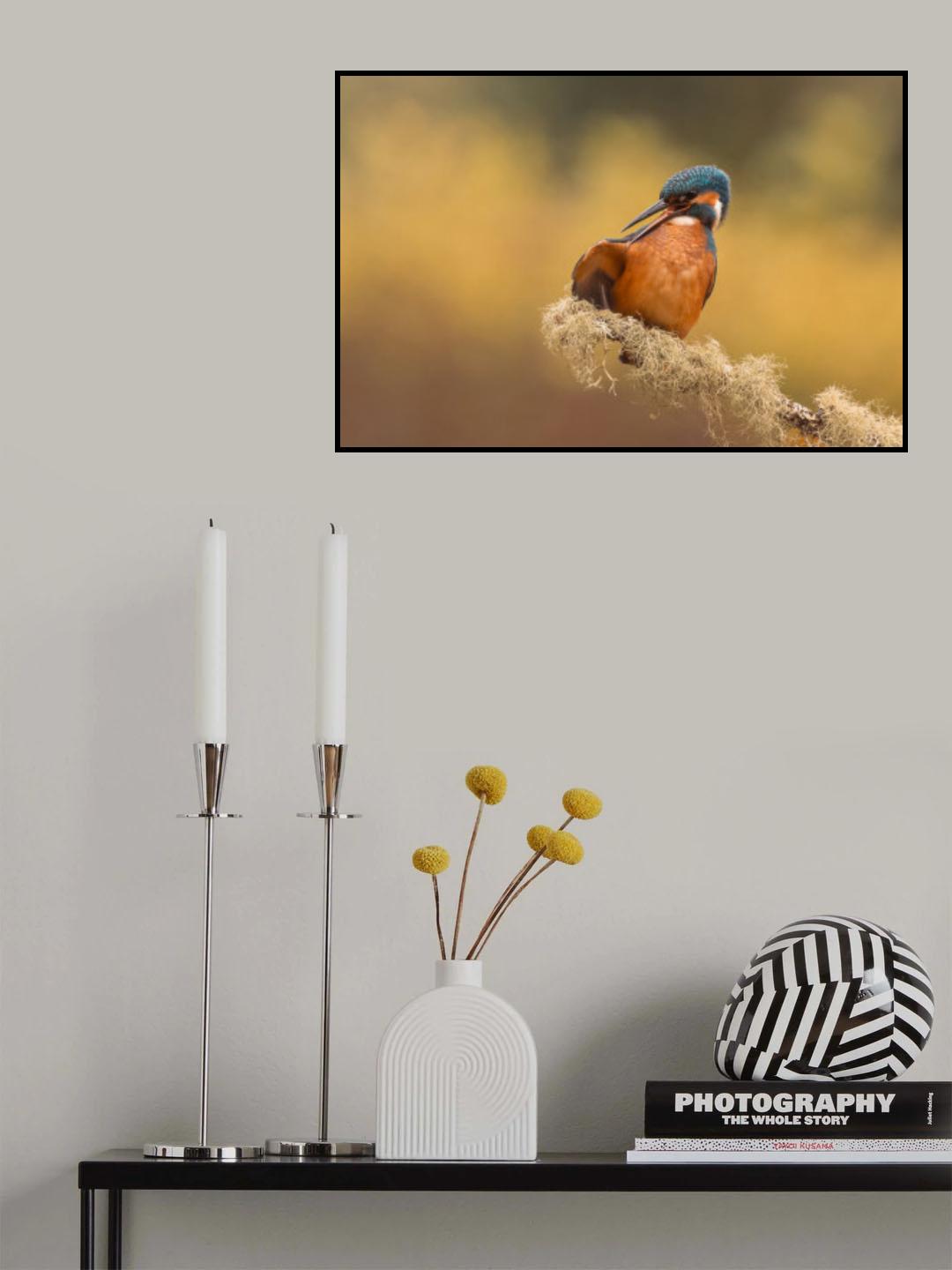 Cleaning my feathers Poster och Canvastavla