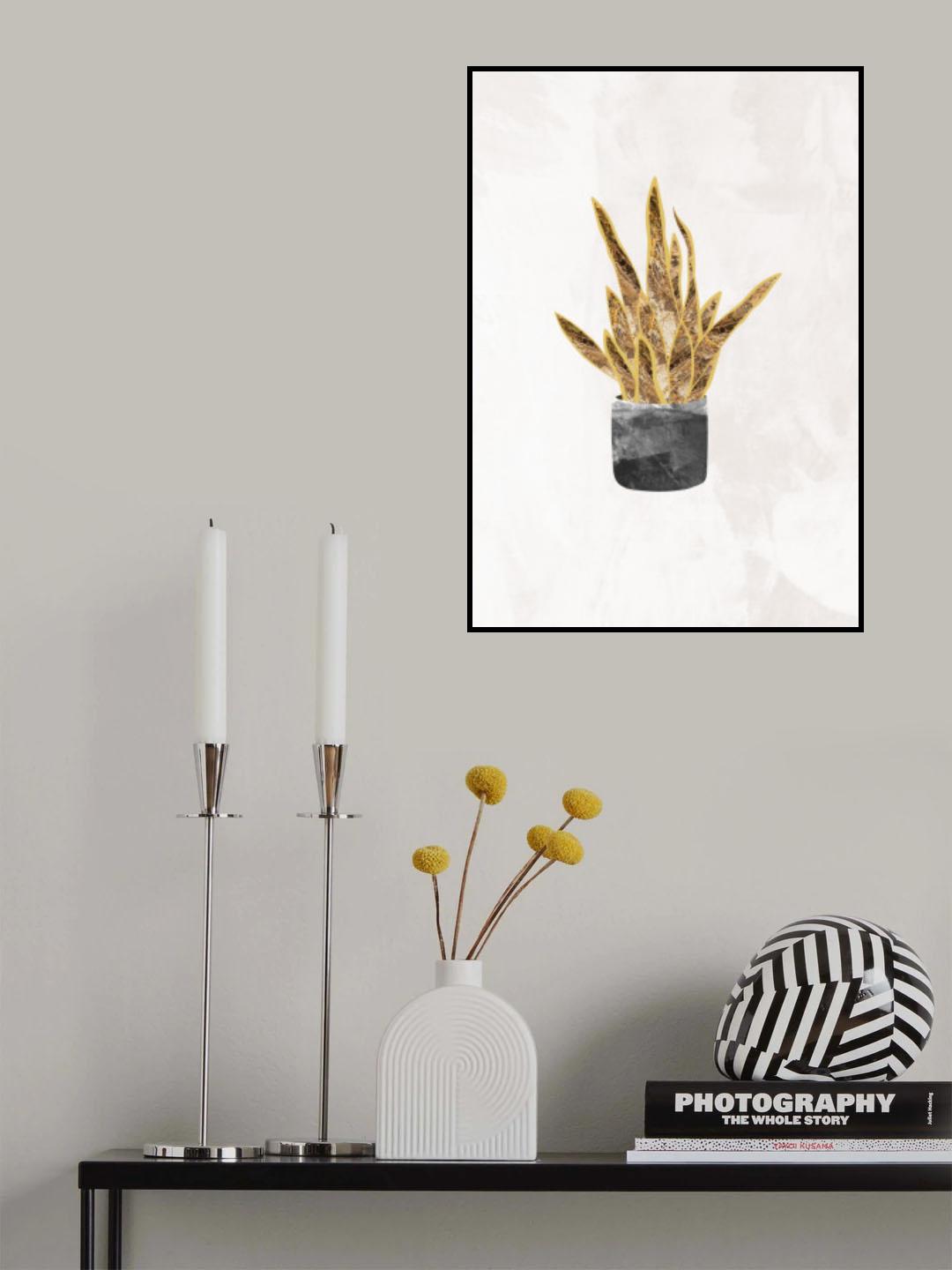 Black and gold house plant 1 Poster och Canvastavla