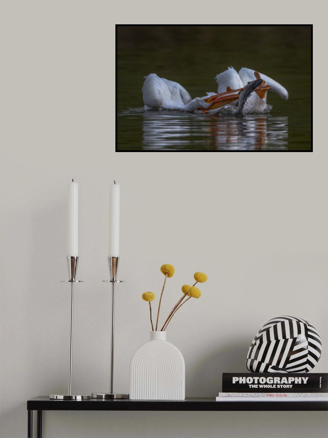 Pelicon and Fish Poster och Canvastavla