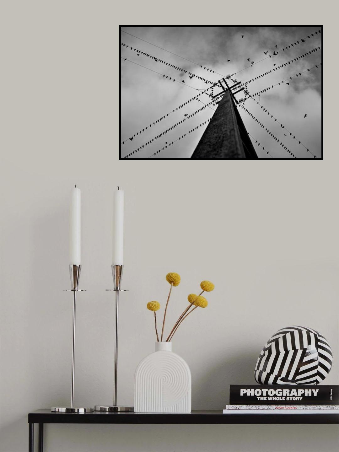 Wired Poster och Canvastavla