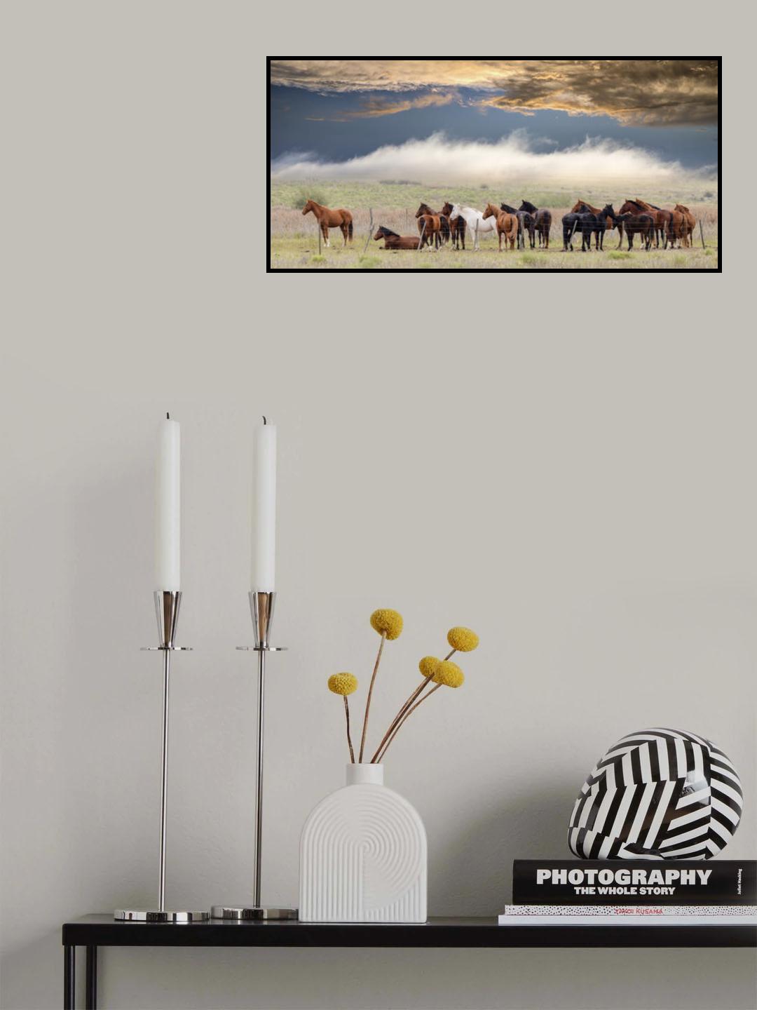 Horses Poster och Canvastavla