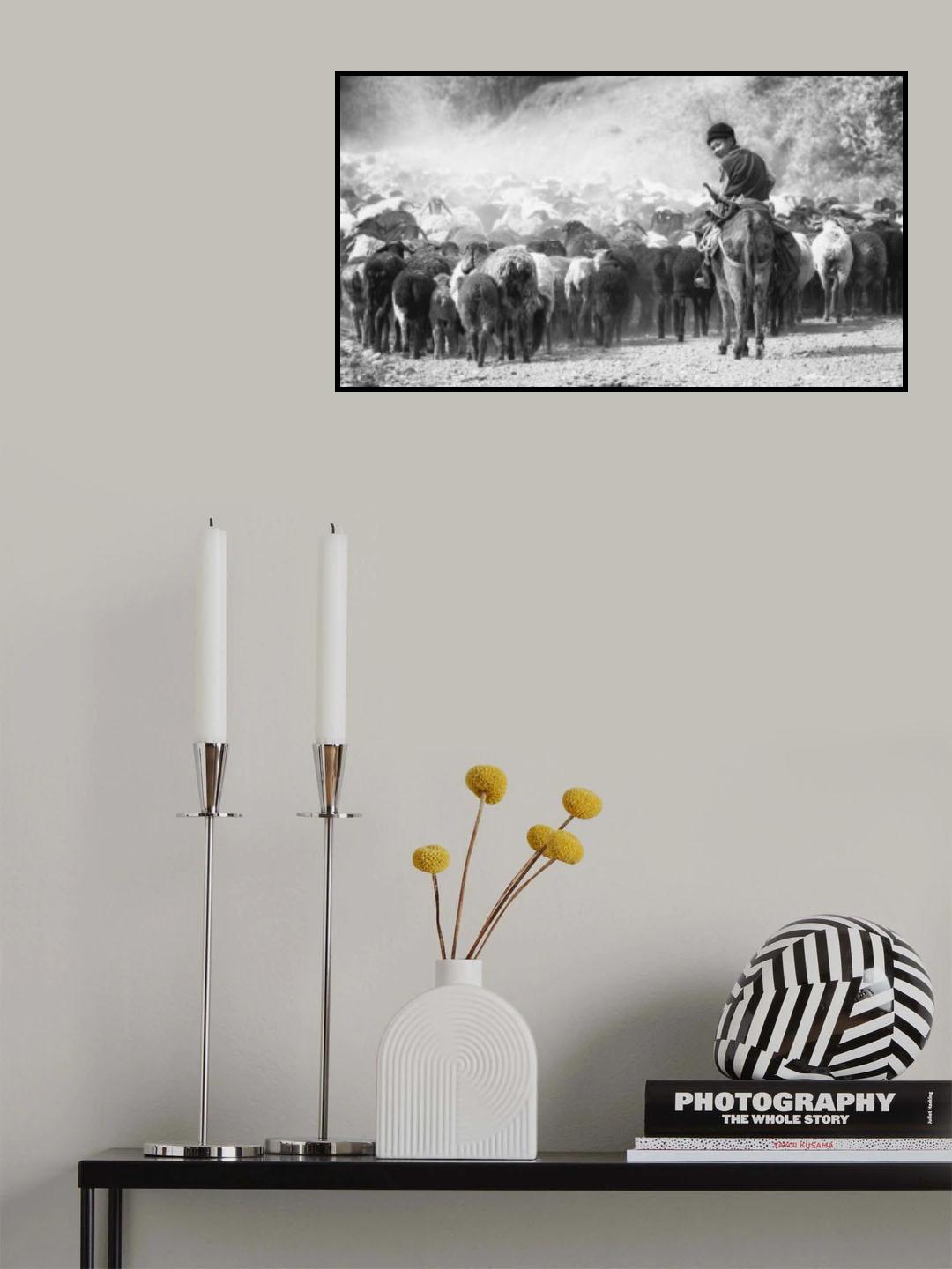 Happy shepherd Poster och Canvastavla