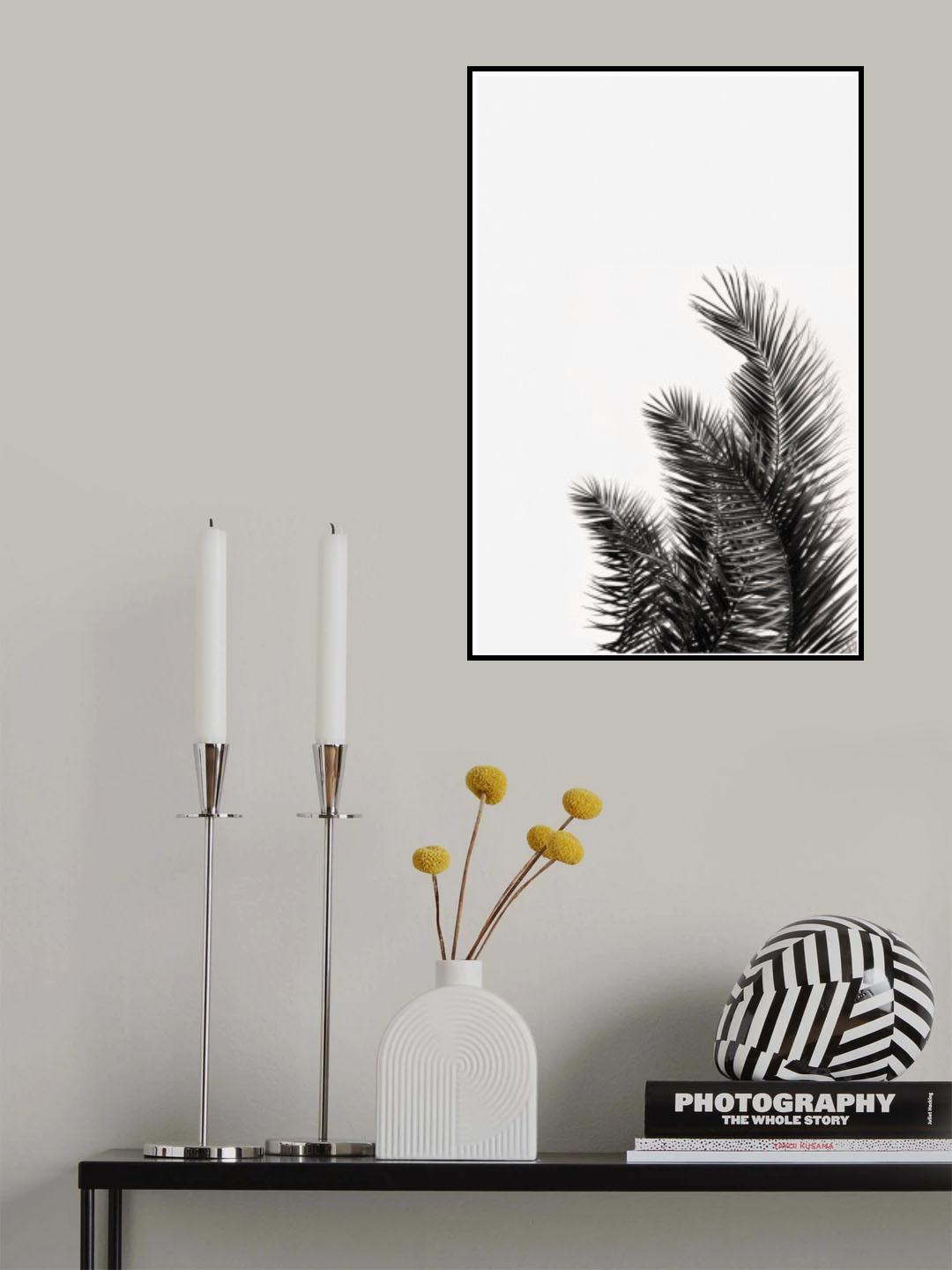 Palms Leaves Poster och Canvastavla
