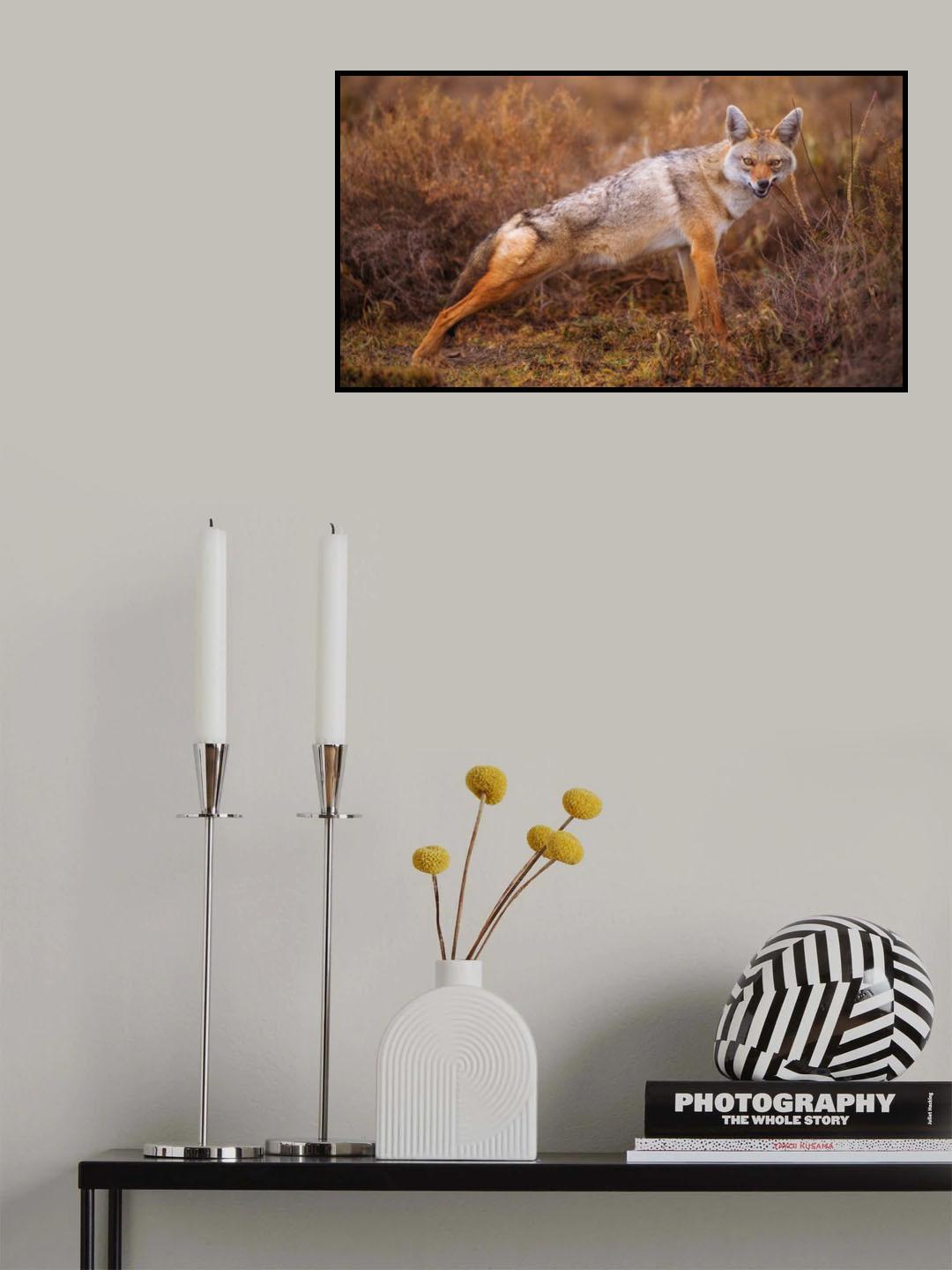 Toothpick Poster och Canvastavla