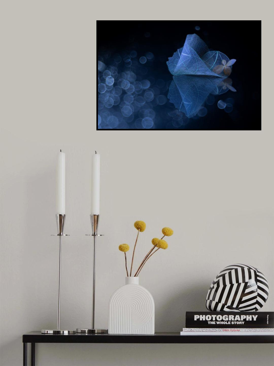 In the valley of illusions Poster och Canvastavla