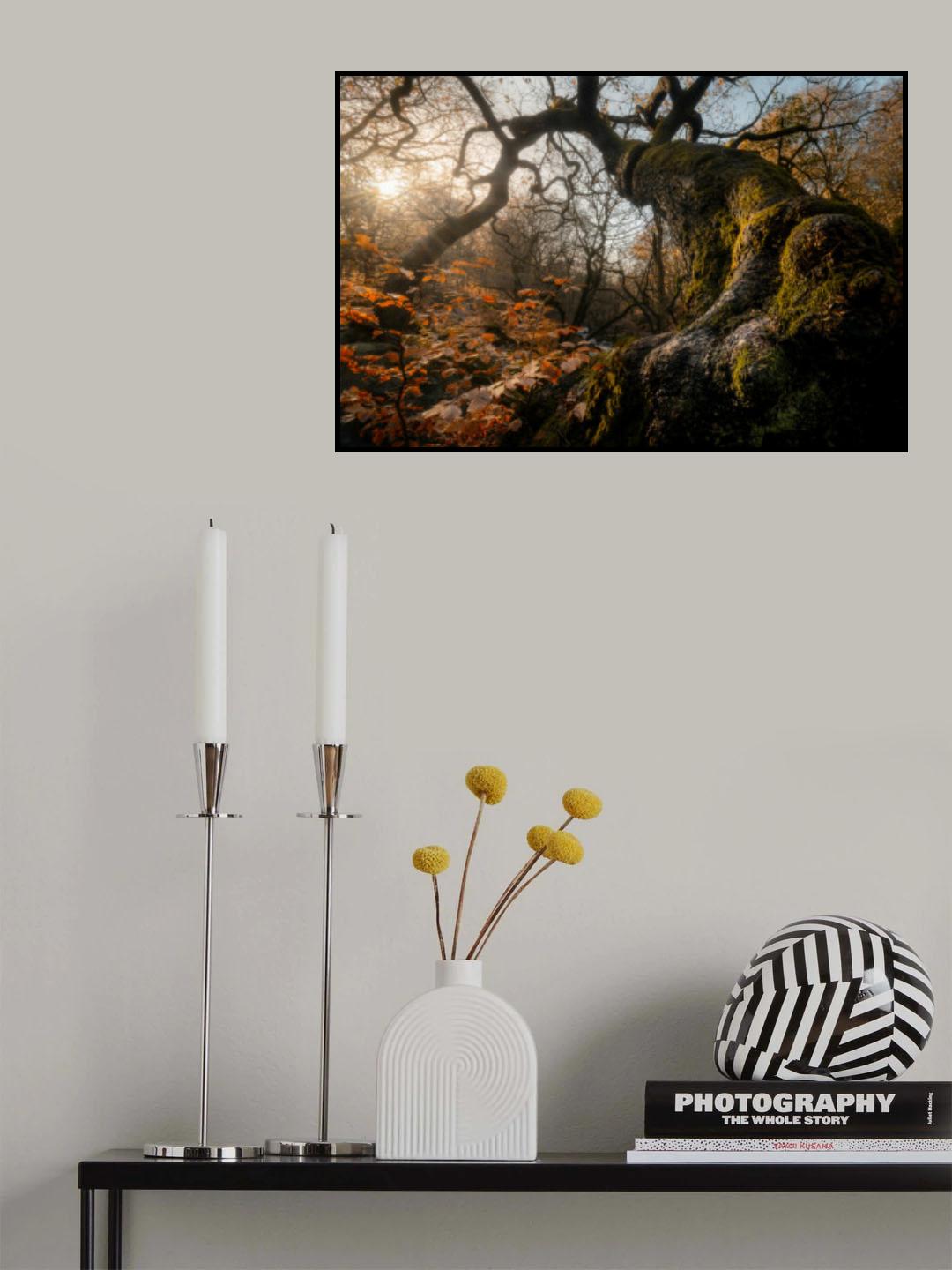 Twisted Nature Poster och Canvastavla