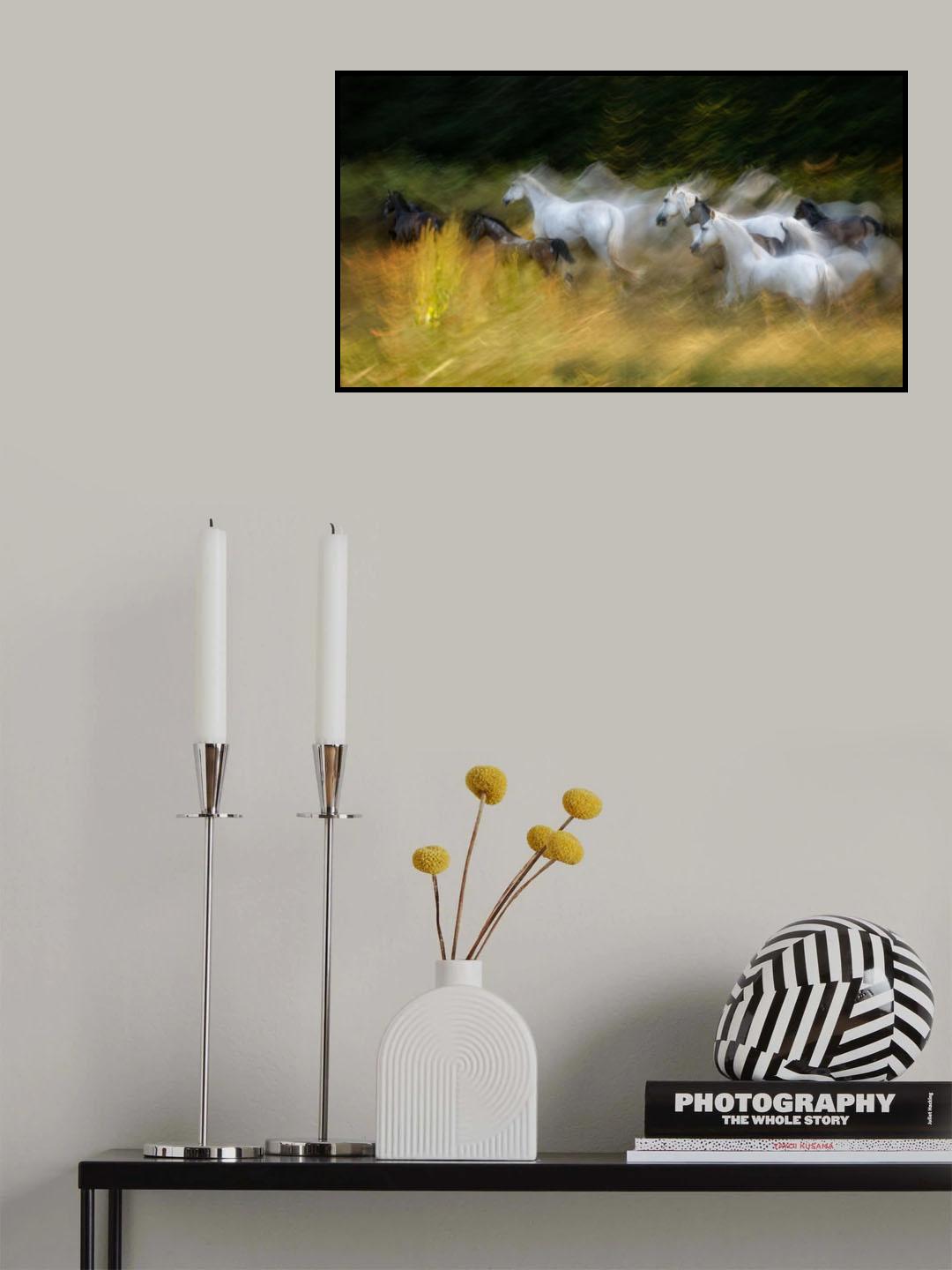 Horse paradise Poster och Canvastavla