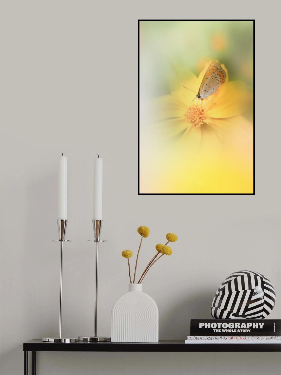 butterfly in fantasy land Poster och Canvastavla
