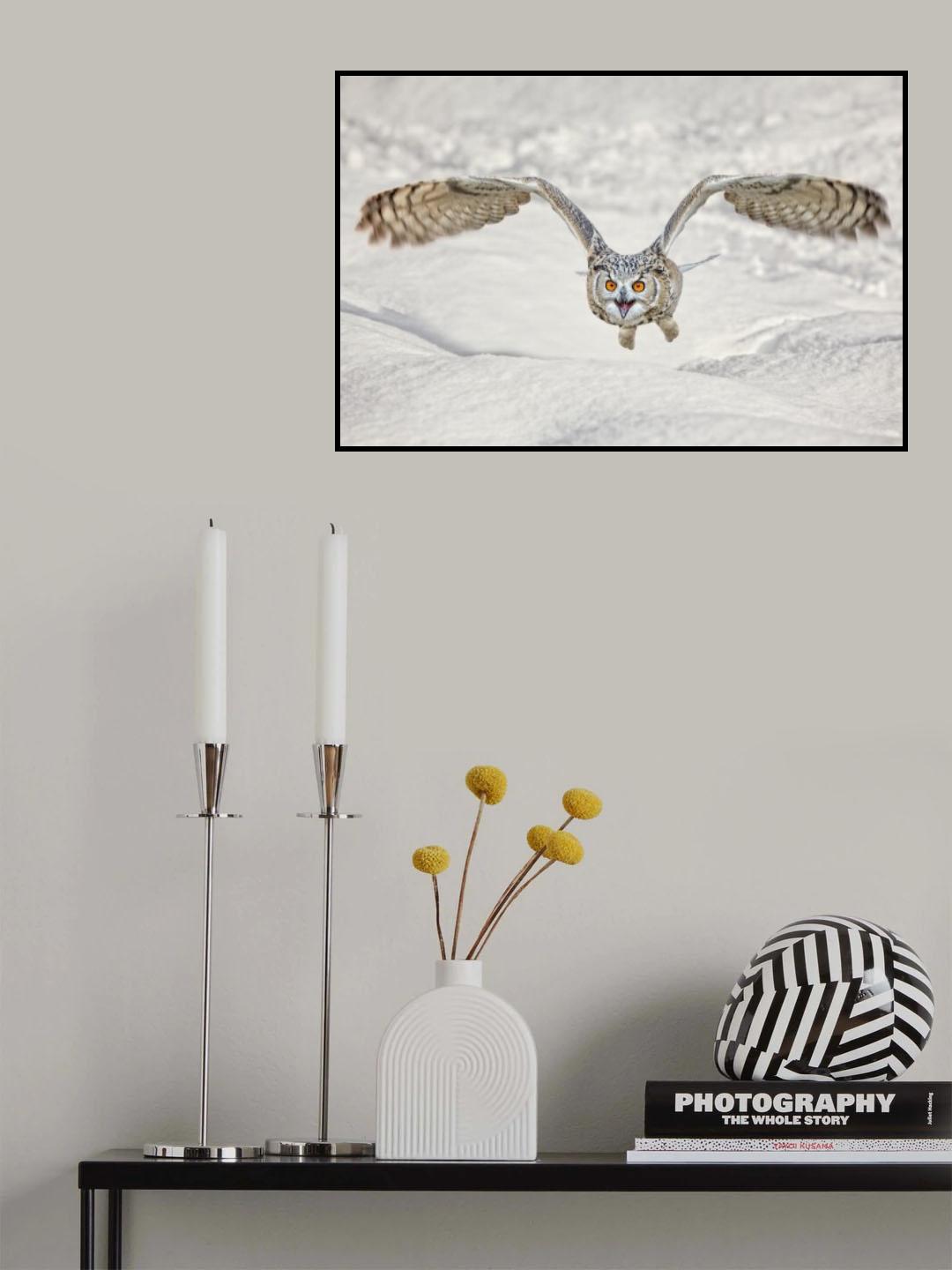 Eulenflug Poster och Canvastavla