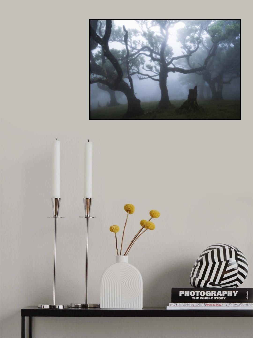 Fairy Forest Poster och Canvastavla