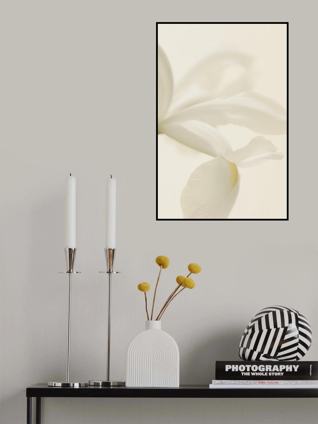 White Iris Flower Close Up Poster och Canvastavla