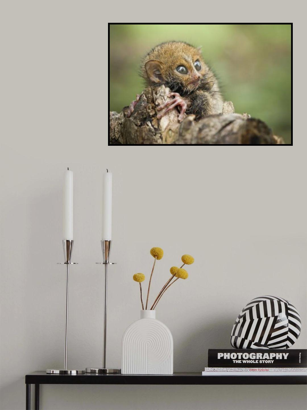 Alone on Forest Poster och Canvastavla