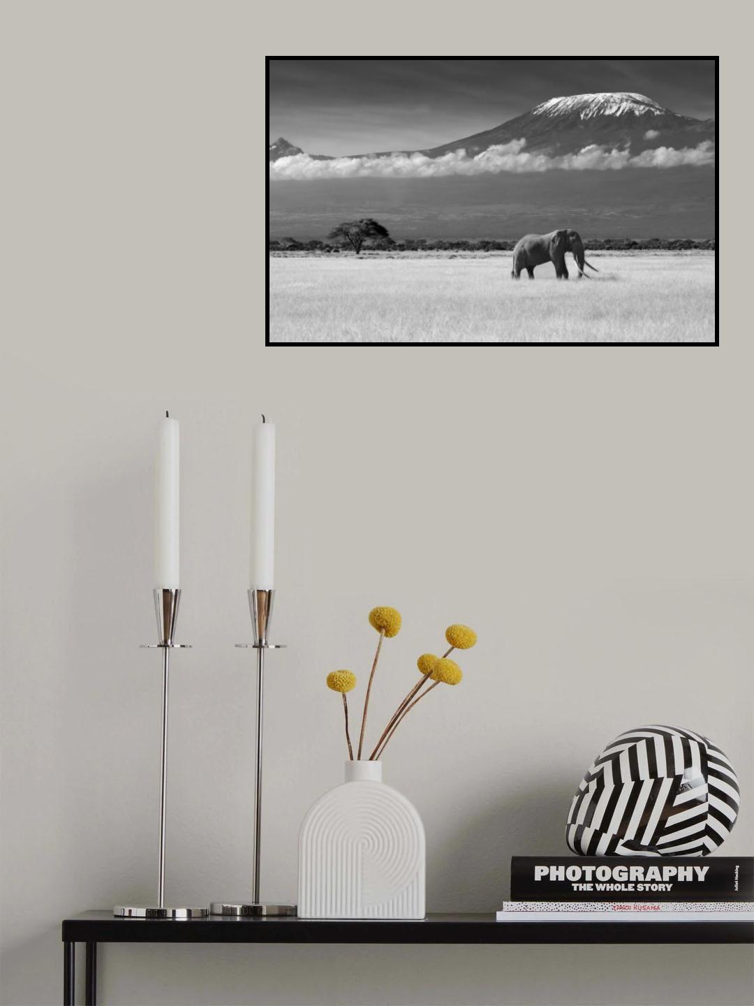 Lost Colors II Poster och Canvastavla
