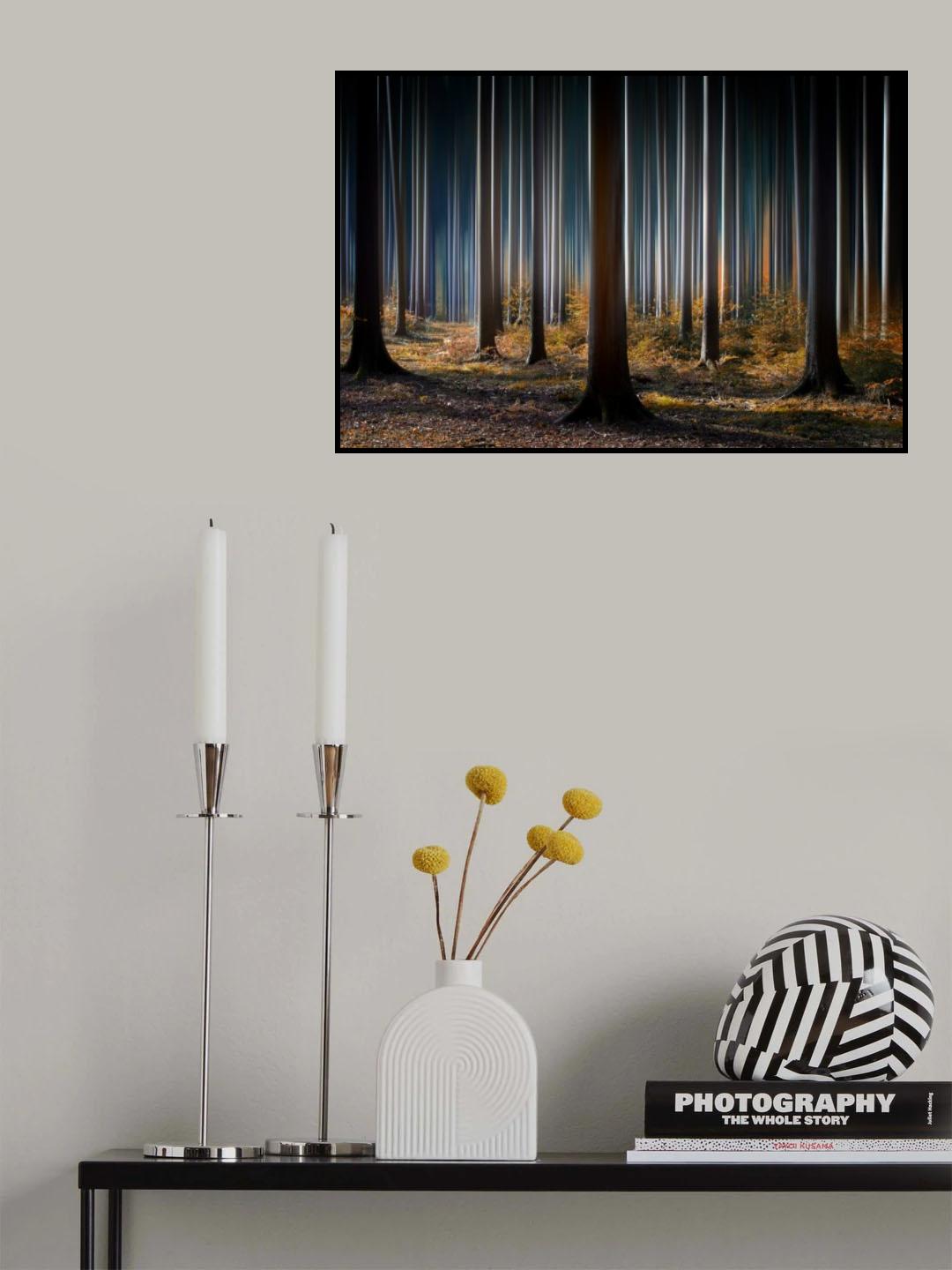 Mystic Wood Poster och Canvastavla