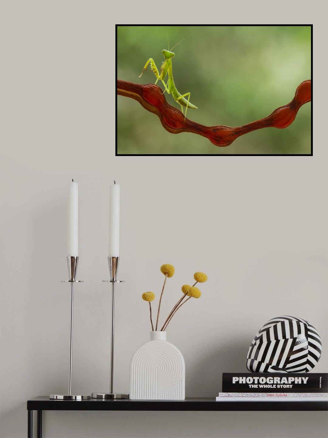 Kungfu Mantish Poster och Canvastavla