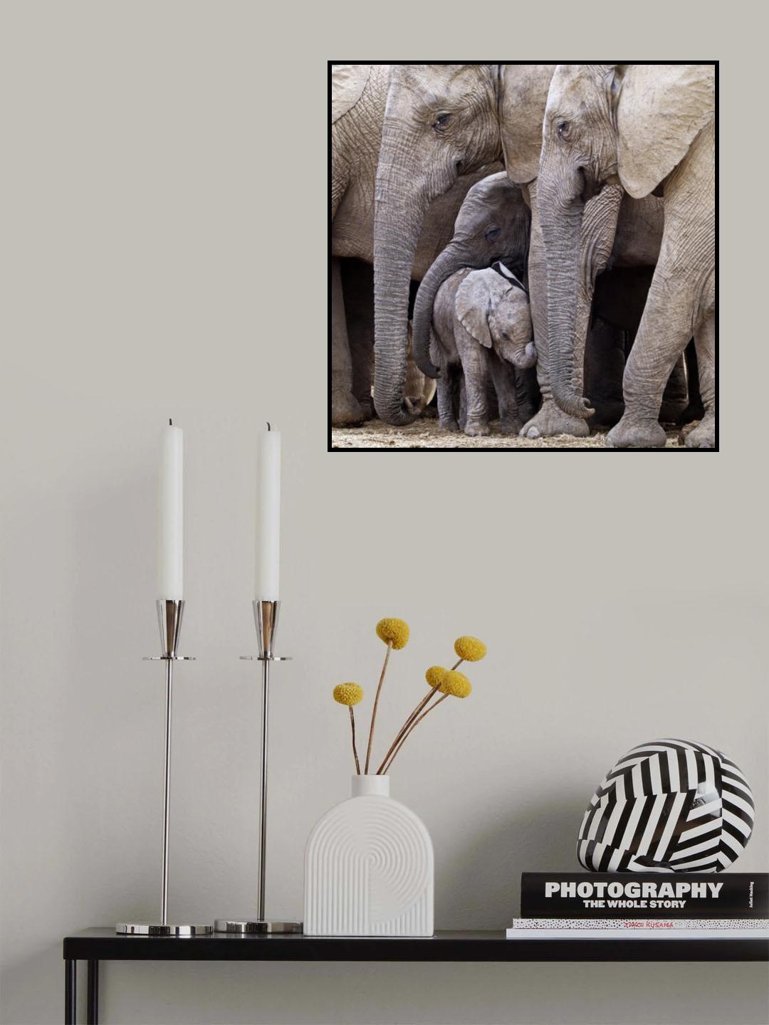 Family Poster och Canvastavla