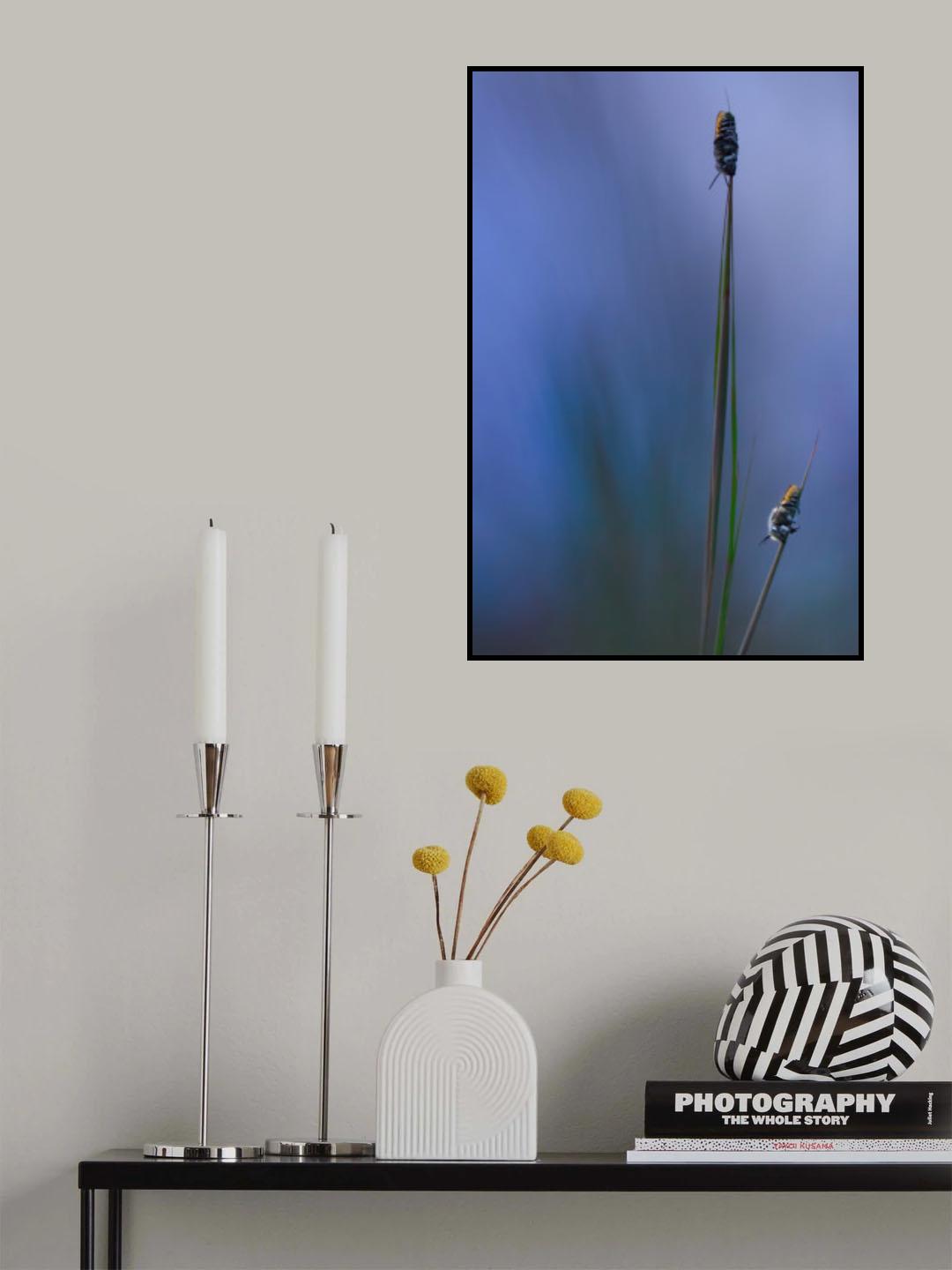 Dream in Blue Poster och Canvastavla