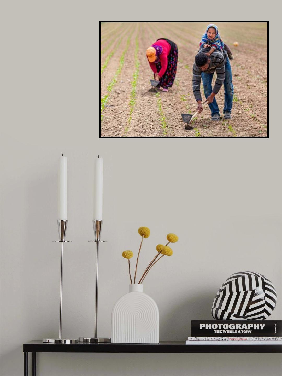 seasonal workers Poster och Canvastavla