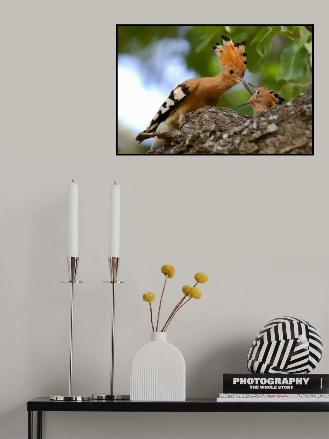 Poster och Canvastavla
