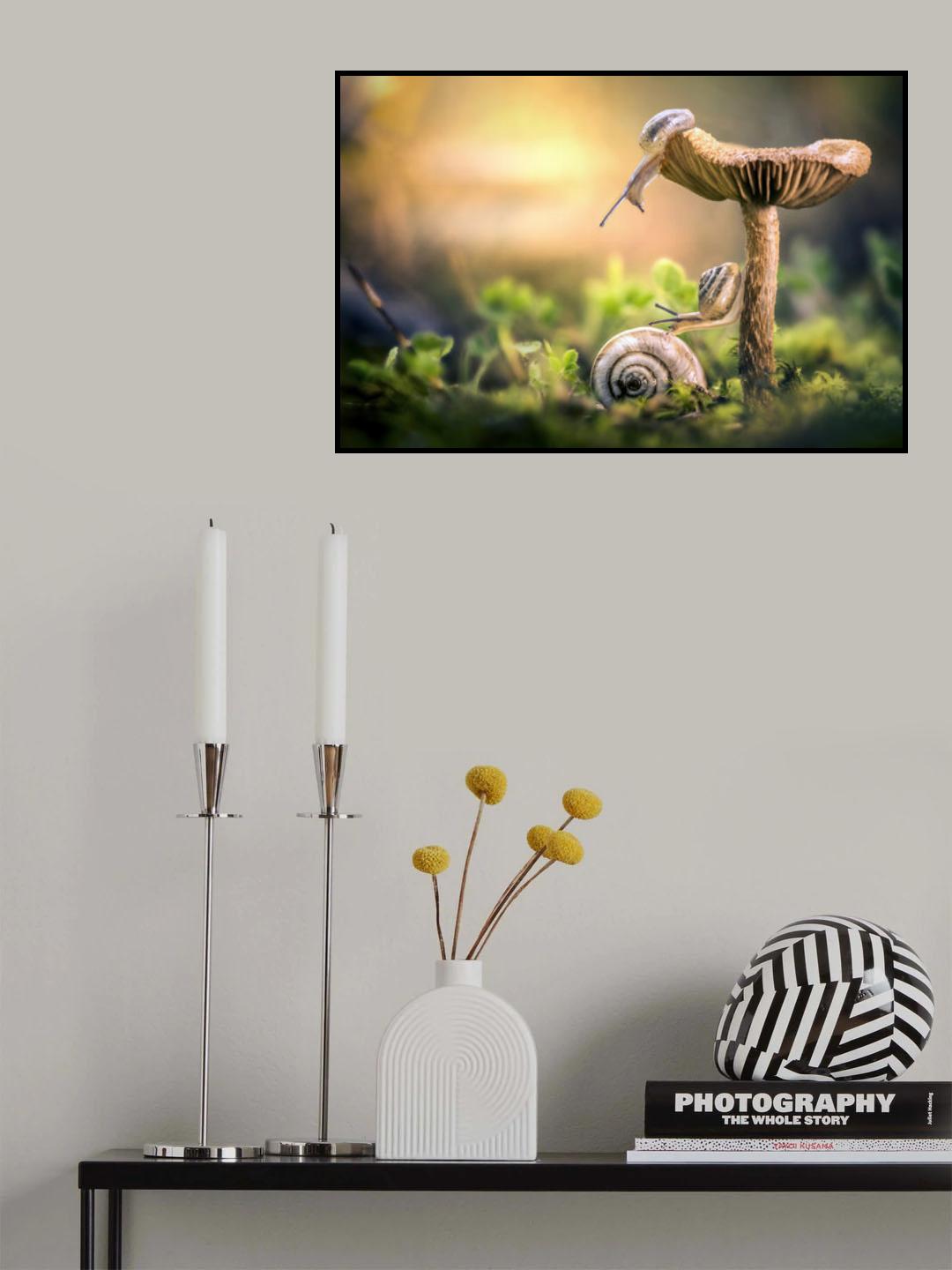 The awakening of snails Poster och Canvastavla