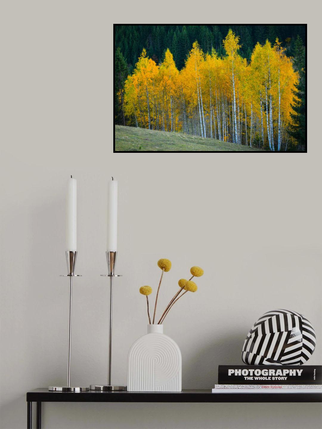 Autumn Poster och Canvastavla