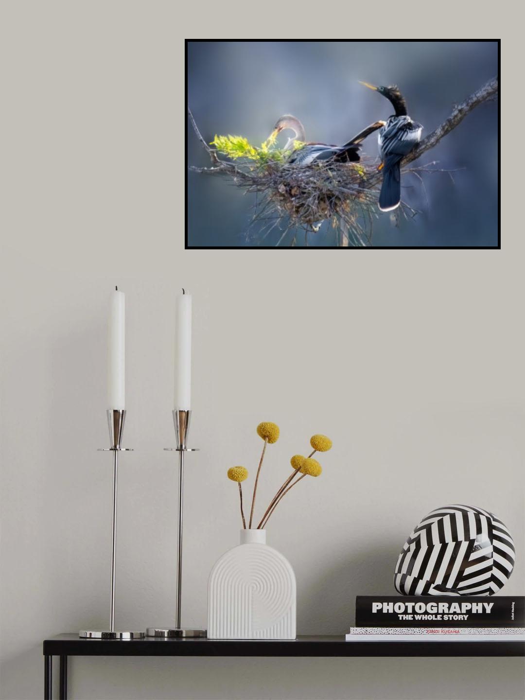 Anhinga’s Nest: A Cooperative Bond Poster och Canvastavla