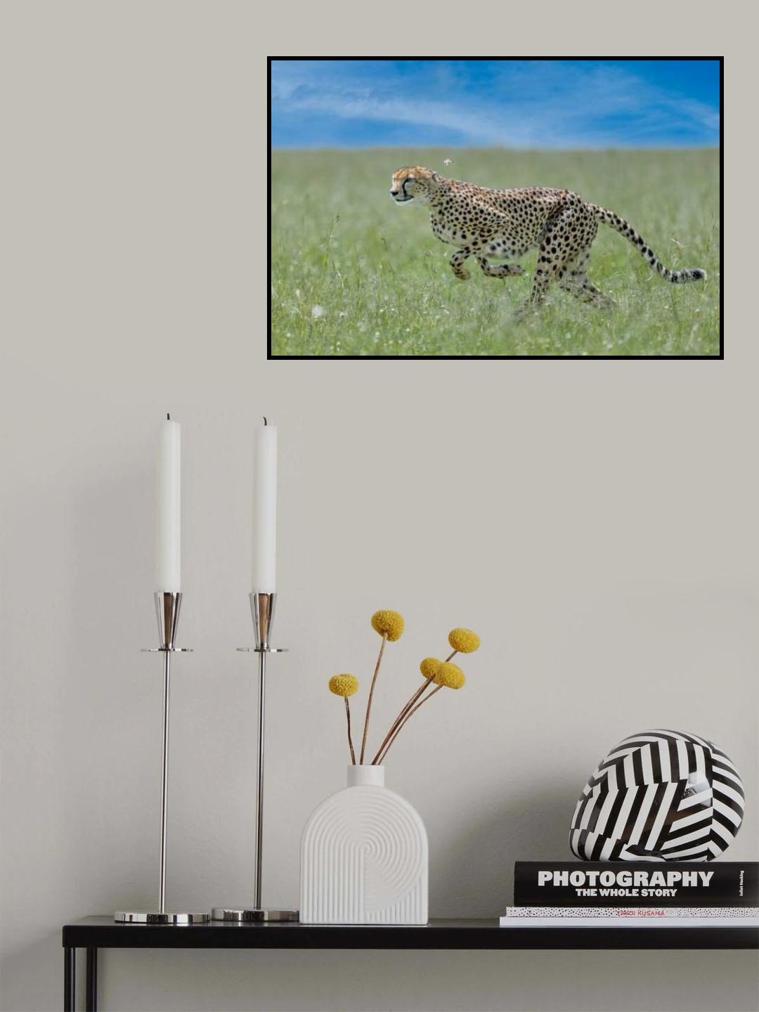Poster och Canvastavla
