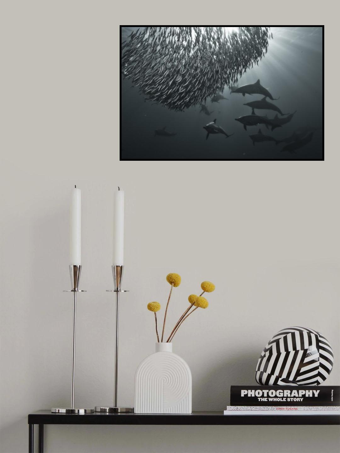 the dark side Poster och Canvastavla