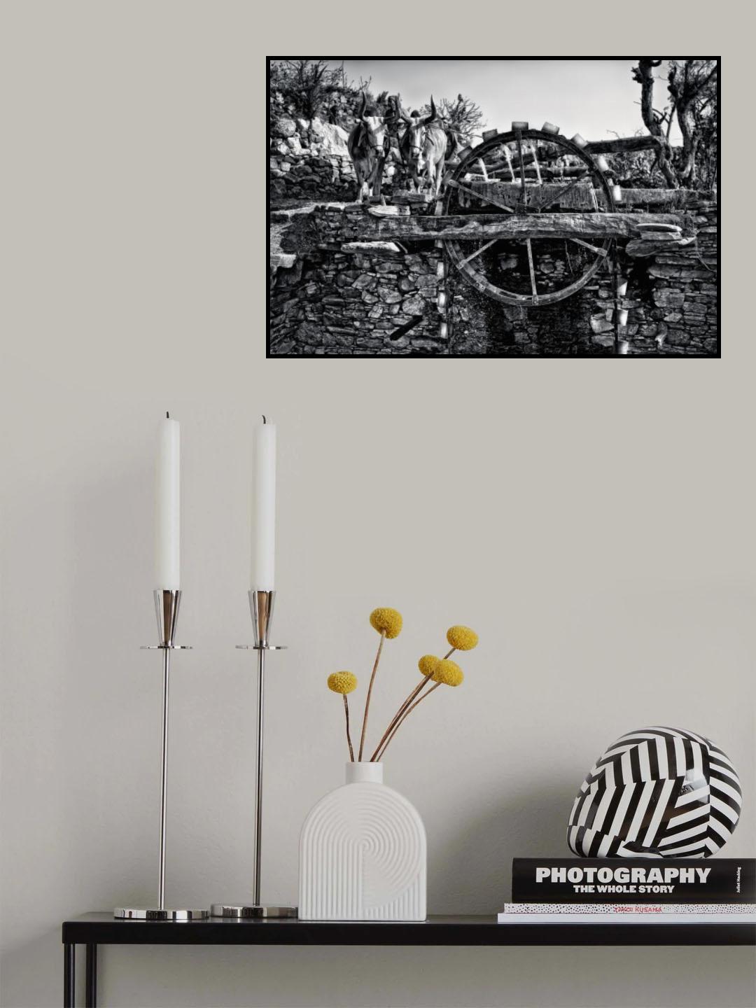 irrigation Poster och Canvastavla