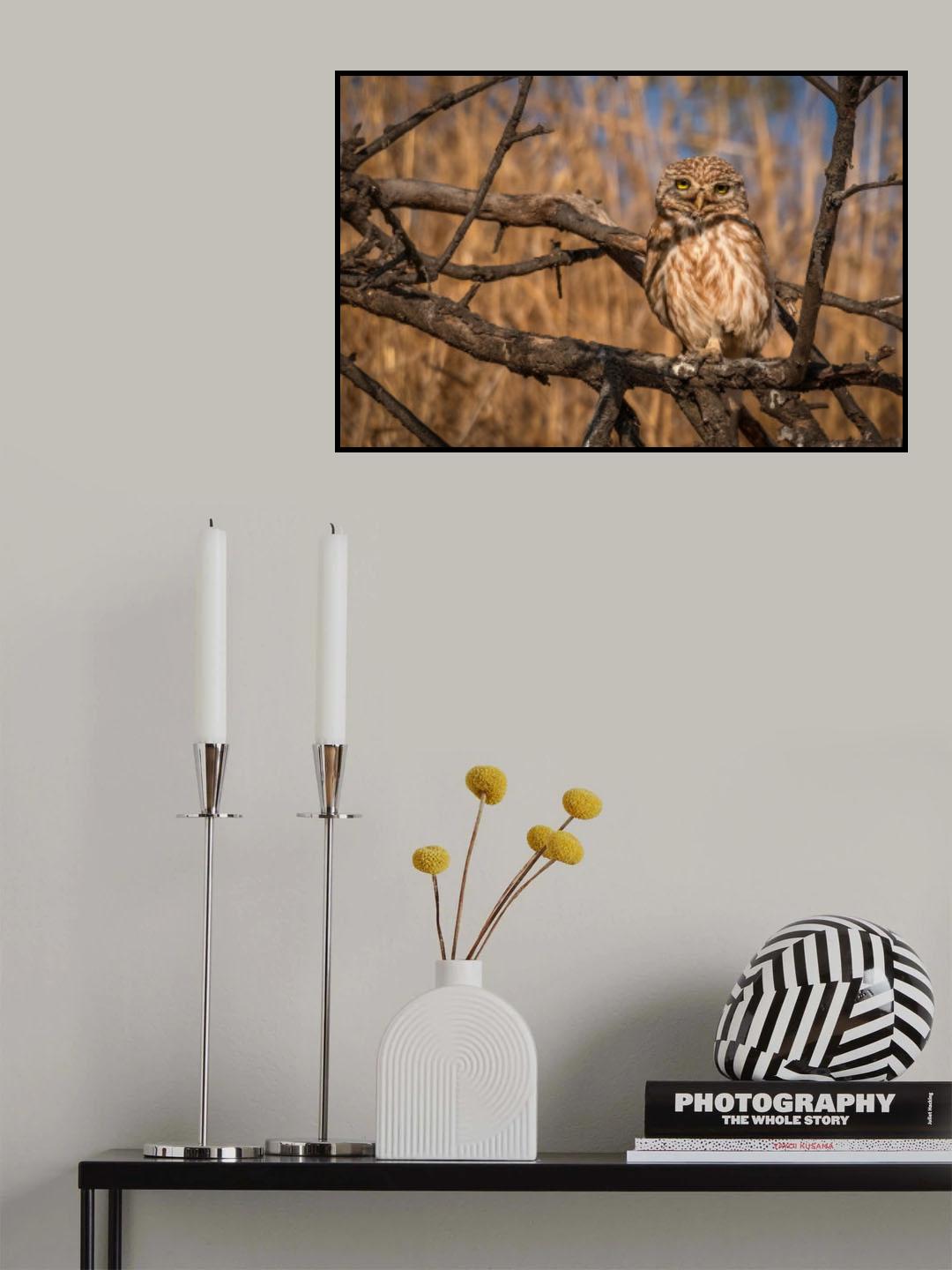 Burned tree keeper Poster och Canvastavla