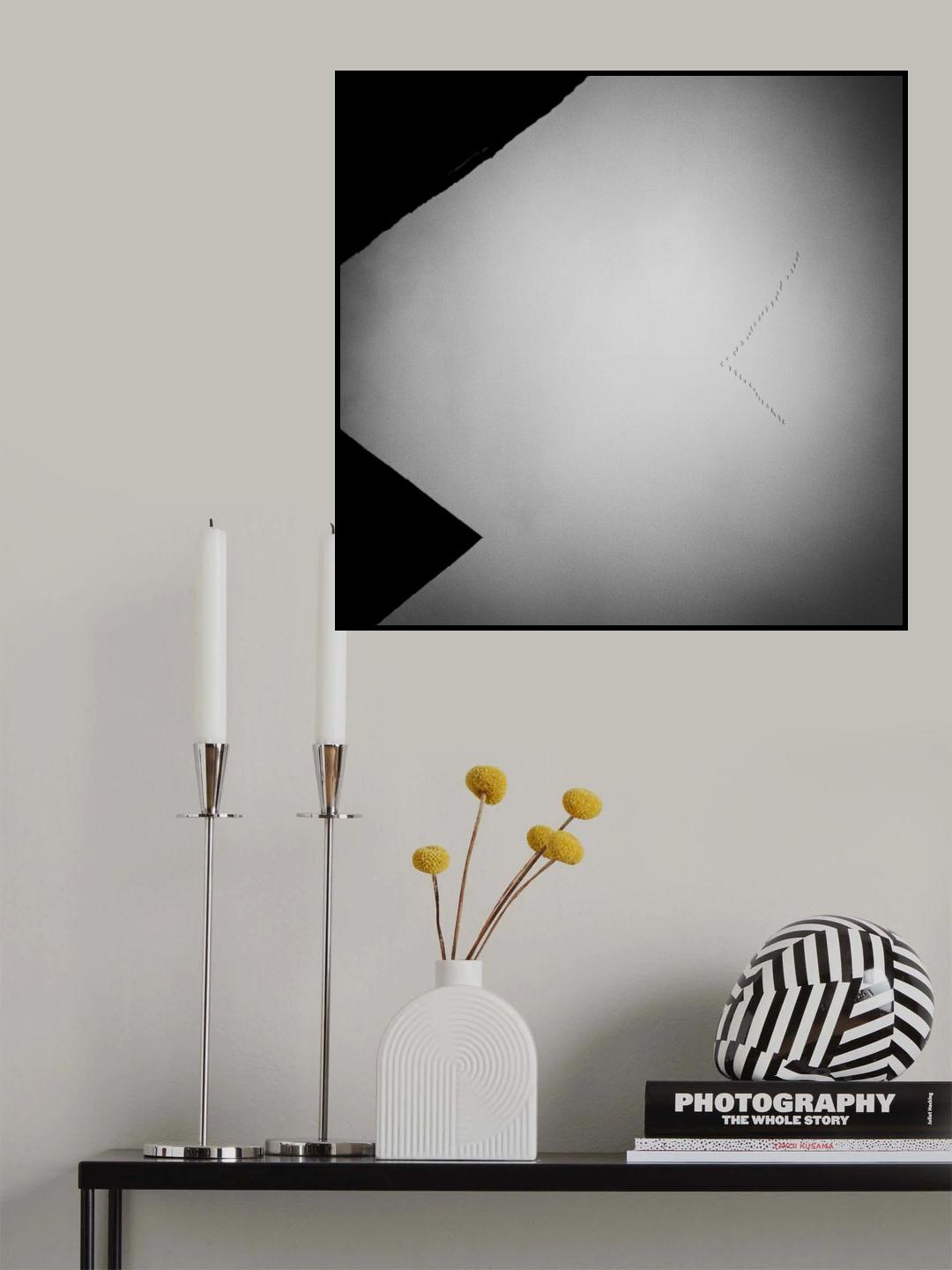 Birdcatcher Poster och Canvastavla