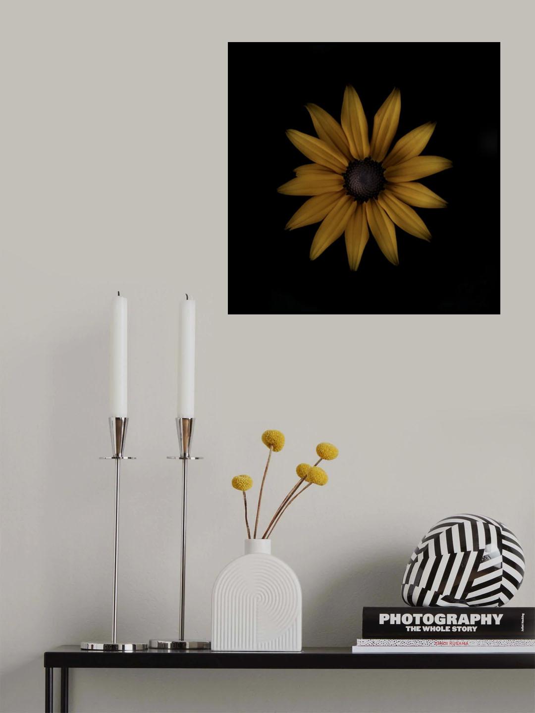 Rudbeckia Poster och Canvastavla