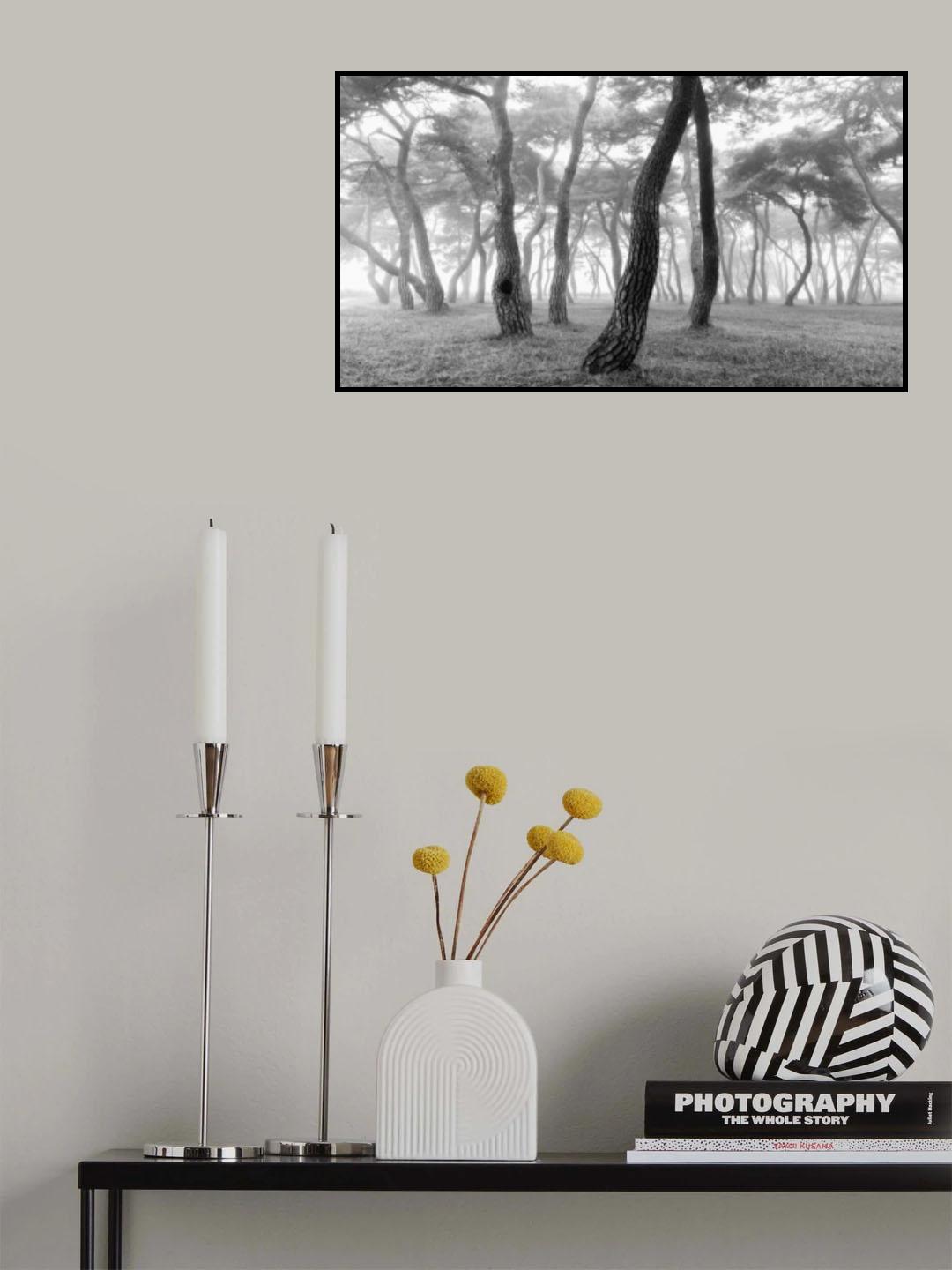 Mist Pine Forest Poster och Canvastavla