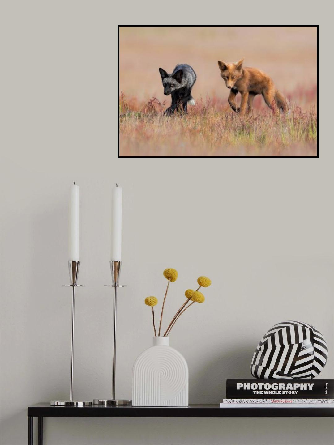 Brothers Poster och Canvastavla