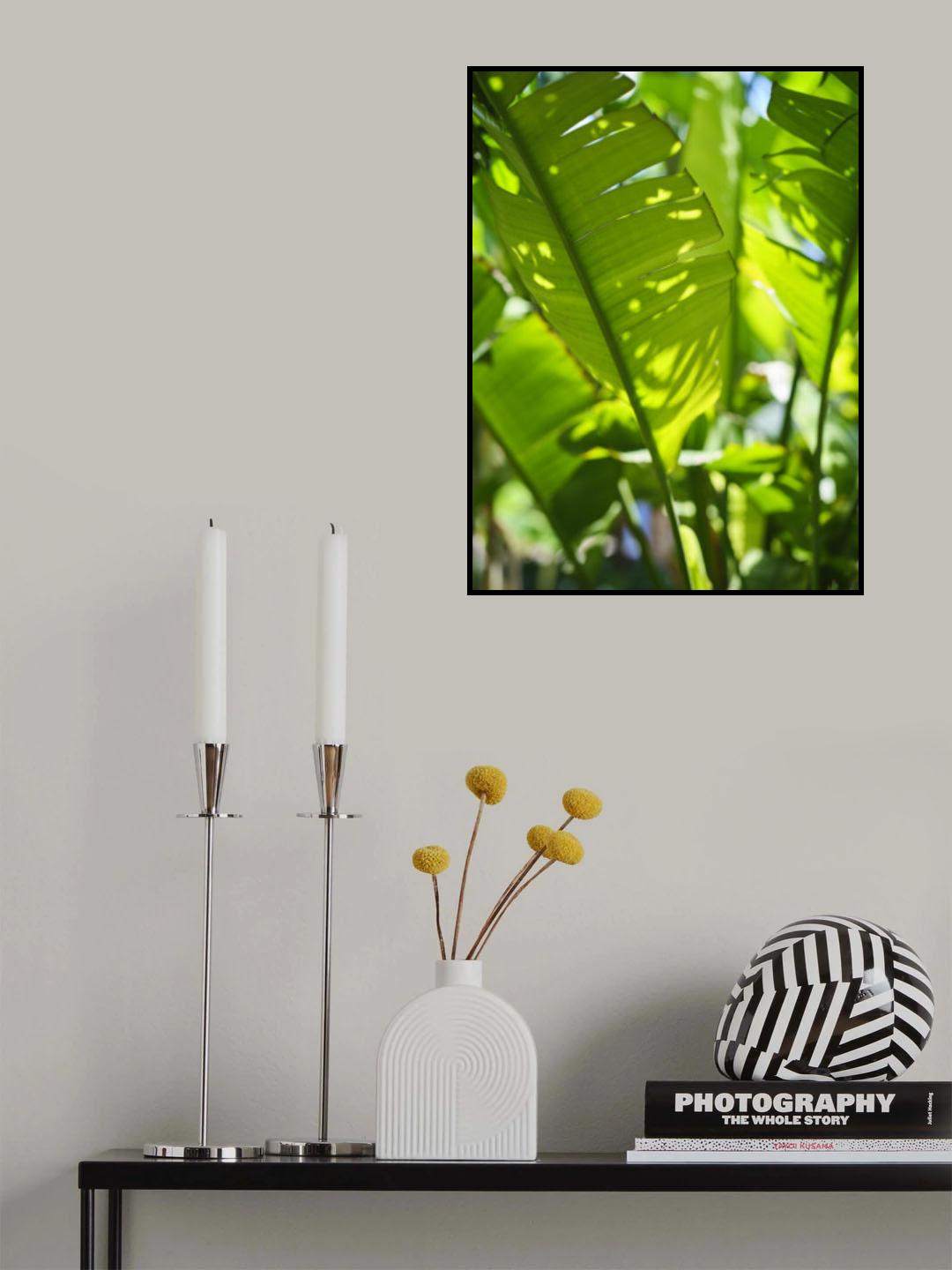 palm leaf Poster och Canvastavla