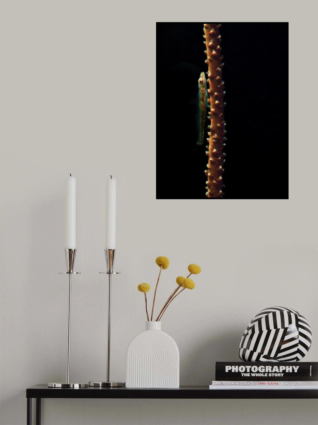 Red deep Poster och Canvastavla