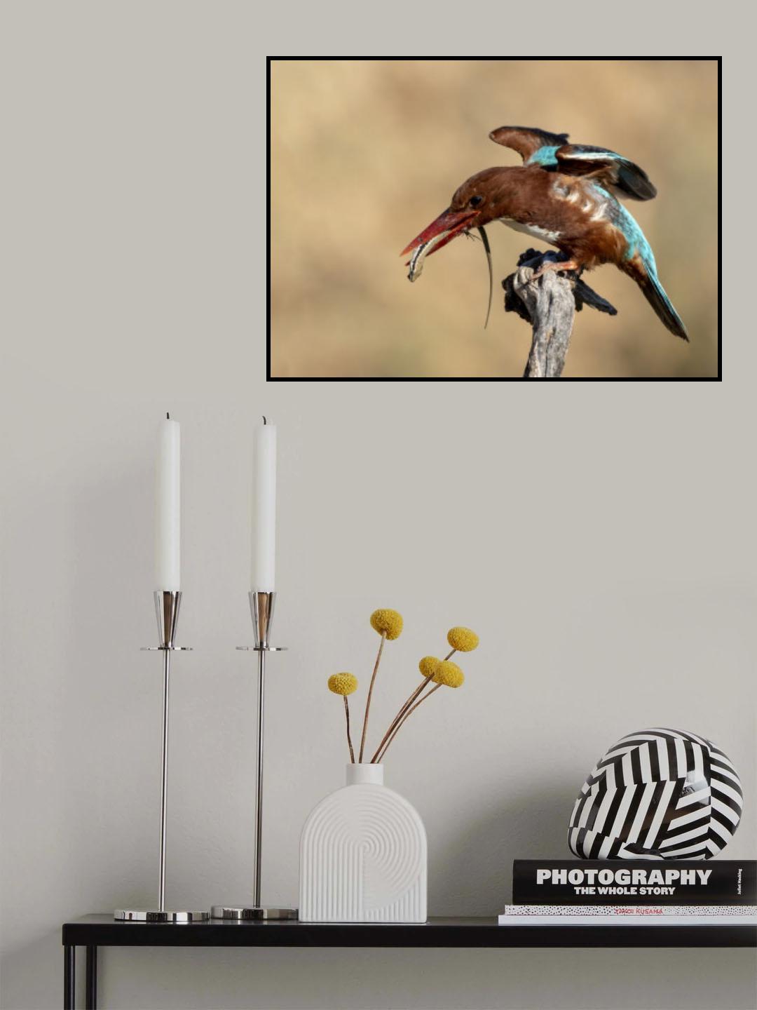 Kingfisher Poster och Canvastavla