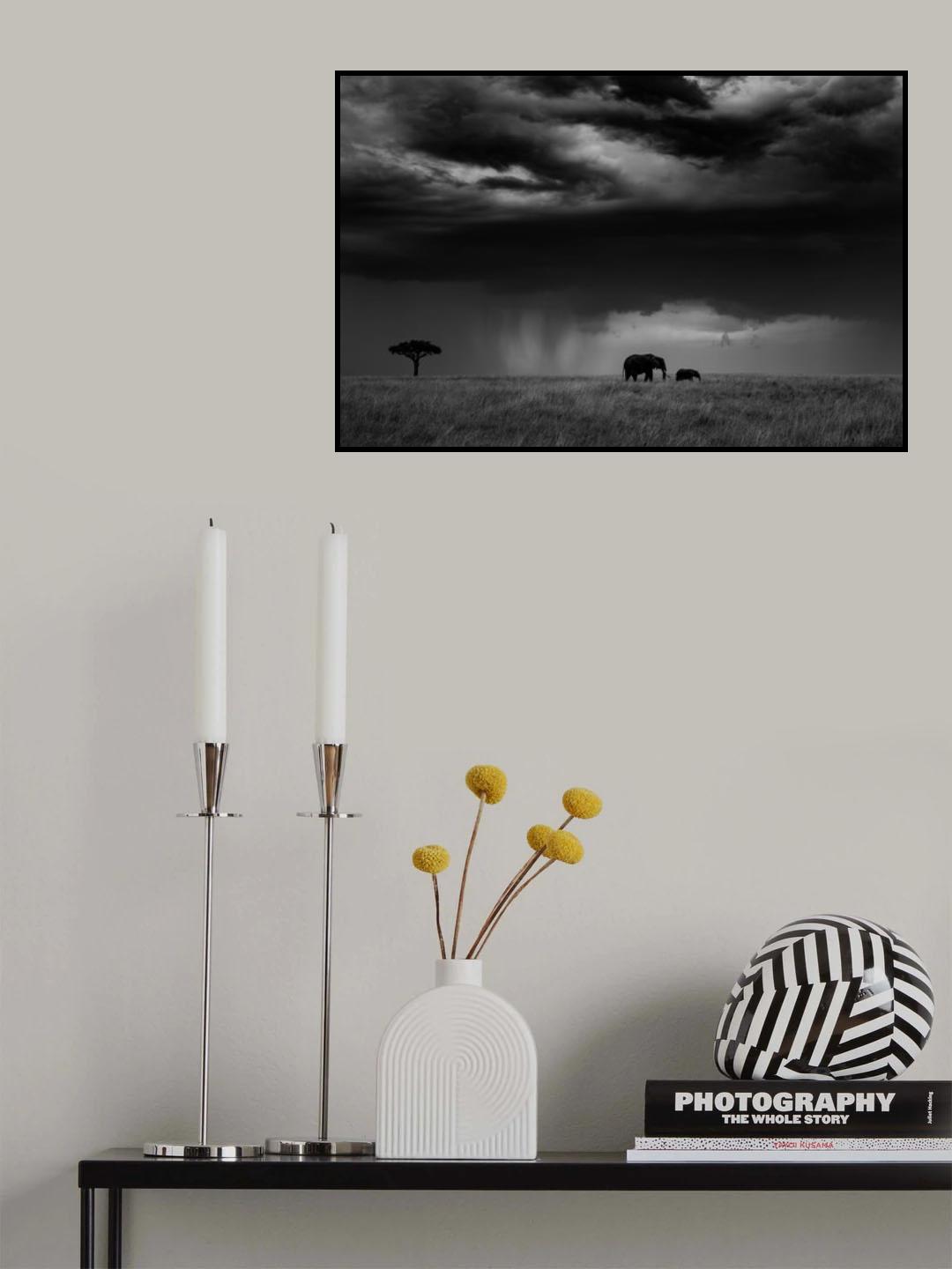 Thunderstorm on the Savannah Poster och Canvastavla